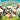 Goats Go Nuts for Headbutts: Goats love headbutting all kinds of things in this fun, silly, children's picture book with memorable, easy rhymes and