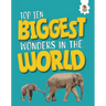 Top Ten Biggest Wonders in the World