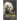 Einstein's Apple: Homogeneous Einstein Fields