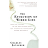 The Evolution of Wired Life: From the Alphabet to the Soul-Catcher Chip -- How Information Technologies Change Our World