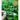 The Seed Farmer: A Complete Guide to Growing, Using, and Selling Your Own Seeds