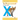 Ends with X