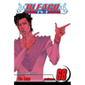 Bleach, Vol. 68: The Ordinary Peace
