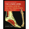 The Lower Limbs: Learning How We Use Our Thighs, Knees, Legs, and Feet