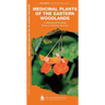 Medicinal Plants of the Eastern Woodlands: A Folding Pocket Guide to Familiar Species