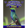 Fantastic Picture Book of Birds. 40 Color Photos of Birds: Bird Names Picture Book Gift for Adults with Alzheimer's or Dementia.