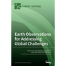 Earth Observations for Addressing Global Challenges