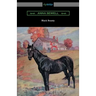 Black Beauty (Illustrated by Robert L. Dickey)