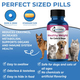 Natural Weight Loss & Thyroid Support Supplement for Dogs & Cats by BestLife4Pets