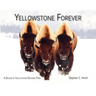 Yellowstone Forever: A Decade in Yellowstone National Park