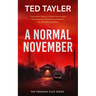 A Normal November: A Cold Case Murder Mystery Series