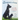 The Adventures of Louie: From a Playful Great Dane Puppy to a Gentle Giant