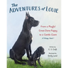 The Adventures of Louie: From a Playful Great Dane Puppy to a Gentle Giant