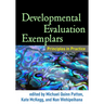 Developmental Evaluation Exemplars: Principles in Practice