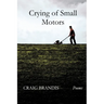Crying of Small Motors