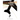 The man who wouldn't fly