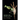 Keeping the Praying Mantis: Mantodean Captive Biology, Reproduction, and Husbandry