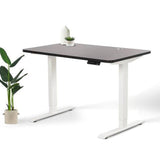 Home Office Standing Desk by EFFYDESK by Level Up Desks