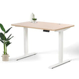 Home Office Standing Desk by EFFYDESK by Level Up Desks