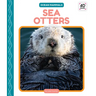 Sea Otters