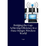 Bridging the Gap: Achieving Efficiency in a Data-Hungry Wireless World