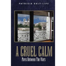 A Cruel Calm: Paris Between the Wars