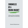 Chronicles Of A Drama Magnet: A Story of Chaos, Comebacks, and a Whole Lot of Swearing