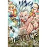 Dr. Stone, Vol. 12: The Secret of Petrification
