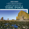 Food Chains in a Tide Pool