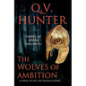 The Wolves of Ambition: A Novel of the Late Roman Empire