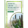 How to Grow Pearl Millet: Beginners guide to growing, caring and harvesting pearl Millet from seed