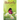 Butterfly: Journey from My Cocoon
