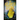 The Atlantis Stone - Mass Market