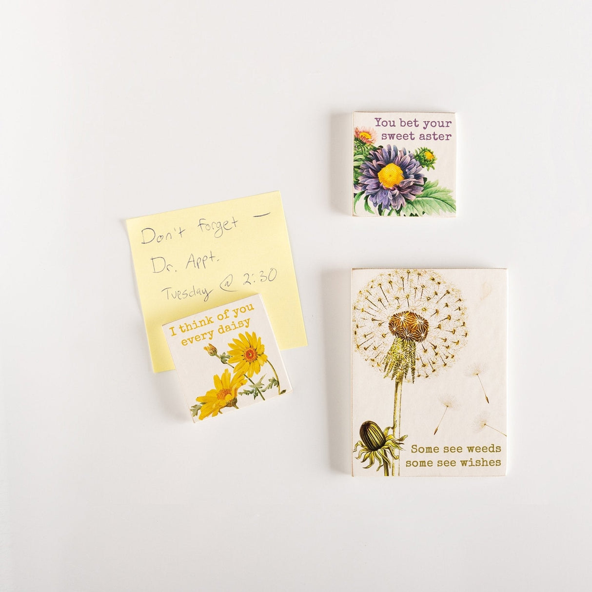 I Think of You Every Daisy Magnet Set | 3 Magnets on a Metal Gift Backing by The Bullish Store