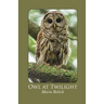 Owl at Twilight