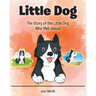 Little Dog: The Story of the Little Dog Who Met Jesus!