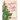 Decking the Halls: Trees, Flowers, Herbs & Greenery to Celebrate the Holiday Season