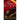 Power of the Blood