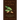 Plants and Crime: A Green Mystique Forensic Mystery Companion