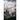 Fallen Stars