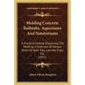 Molding Concrete Bathtubs, Aquariums And Natatoriums: A Practical Treatise Explaining The Molding In Concrete Of Various Styles Of Bath Tubs, Laundry
