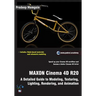 MAXON Cinema 4D R20: A Detailed Guide to Modeling, Texturing, Lighting, Rendering, and Animation