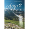 Angels By The Roadside: A Memoir
