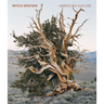 Mitch Epstein: American Nature