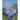 The Polkadot Pony and the Land of NotForgot