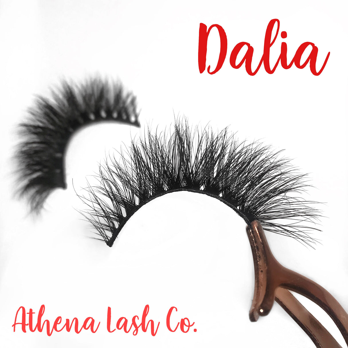 Dalia by Athena Lash Co.