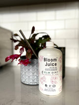 Bloom Juice by Elm Dirt