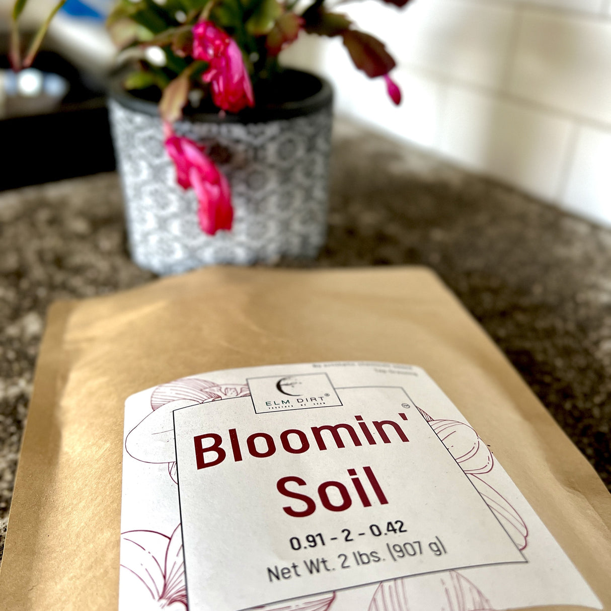 Bloom Power Bundle by Elm Dirt