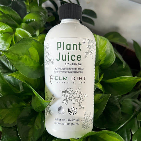 Plant Juice by Elm Dirt