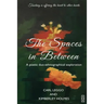 The Spaces in Between: A Poetic duo-ethnographical Exploration